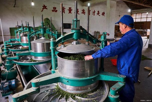 从脚揉到机制 茶叶揉捻工艺的千年演变