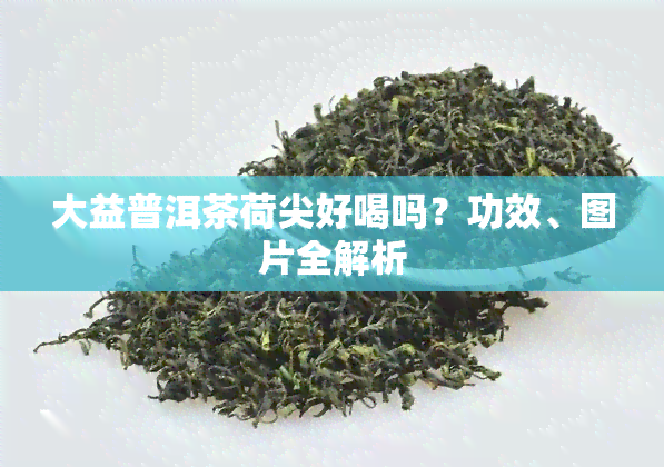 大益普洱茶荷尖好喝吗?功效、图片全解析